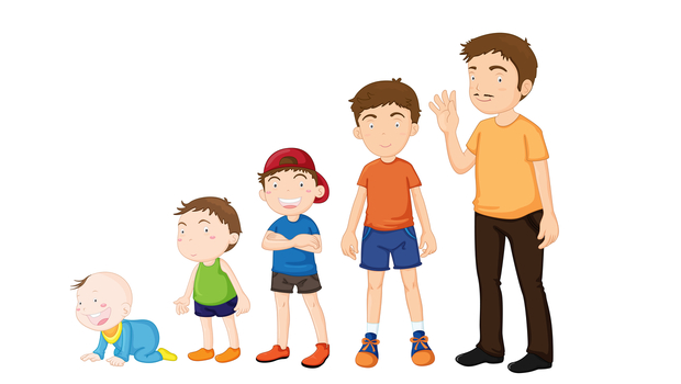 Fiziksel Gelişim Takip ve Değerlendirme Modülü
 Özelliği